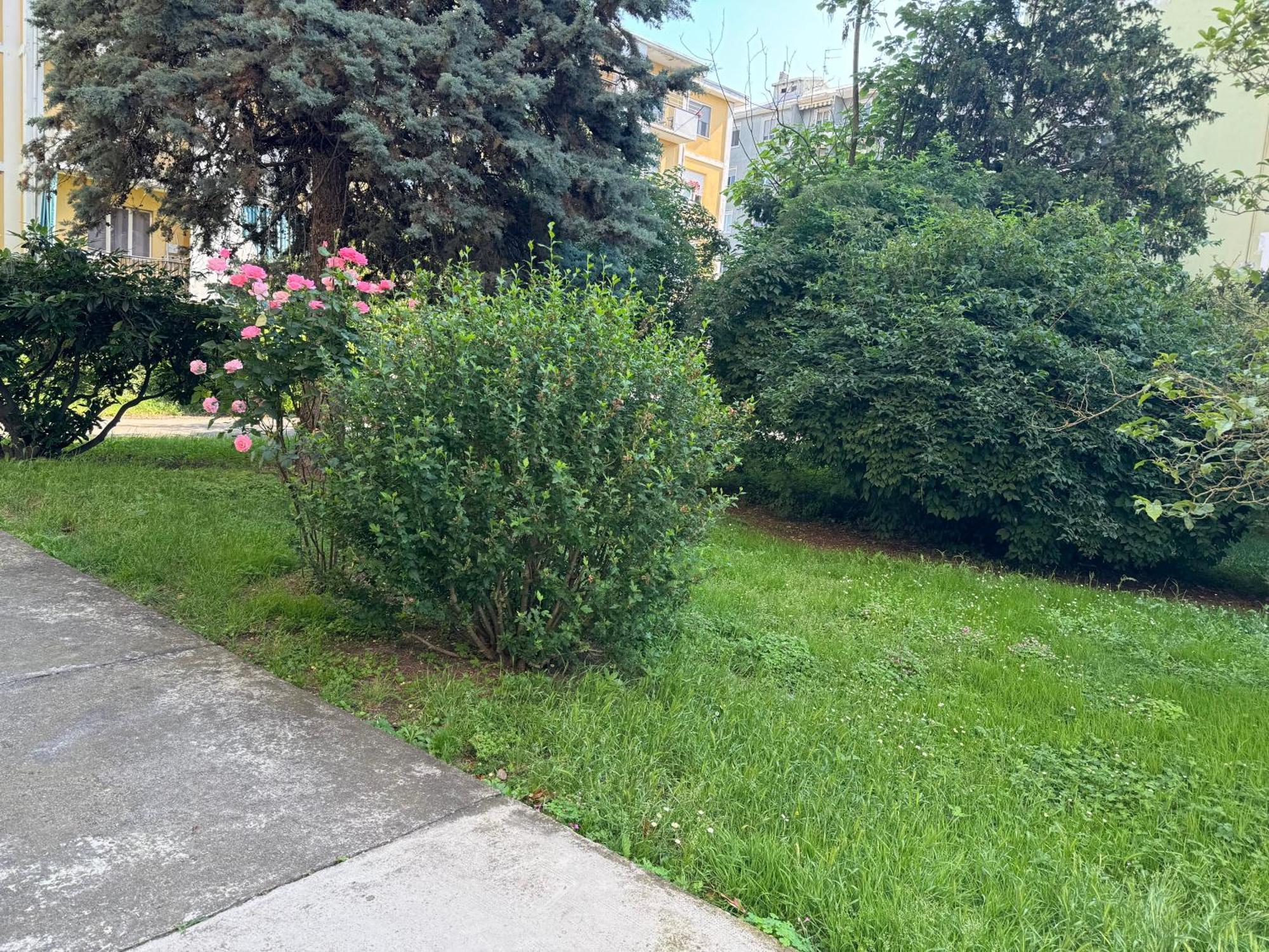 Casa Grivola 29 Apartment Vercelli Bagian luar foto